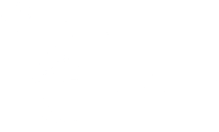 Alphenix Bouwgroep B.V.